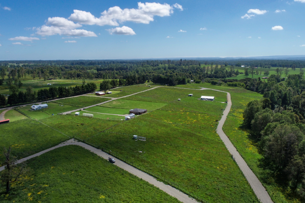 news-df-20260220143022