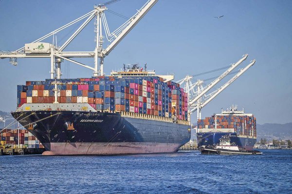 news-df-20260220130835