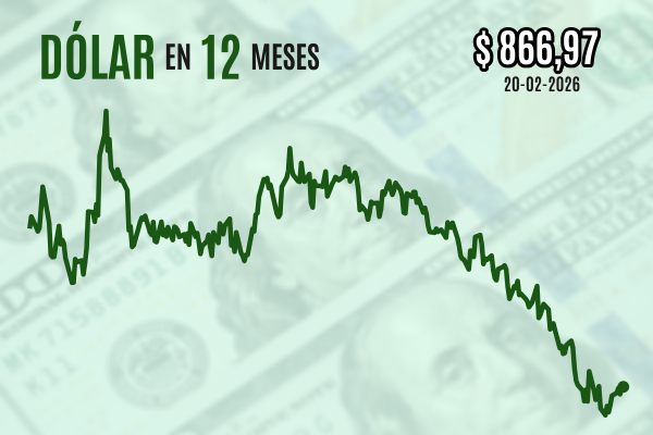 news-df-20260220081531