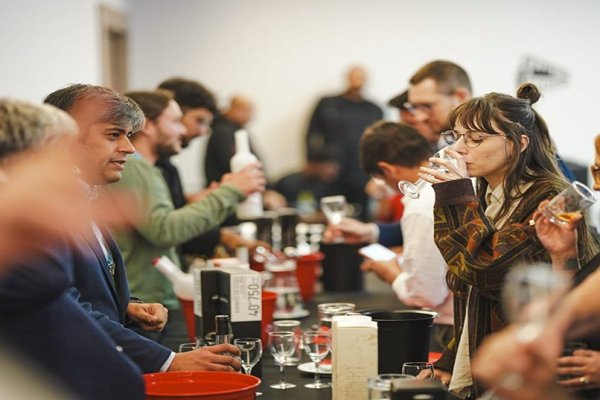 news-df-20260223143358