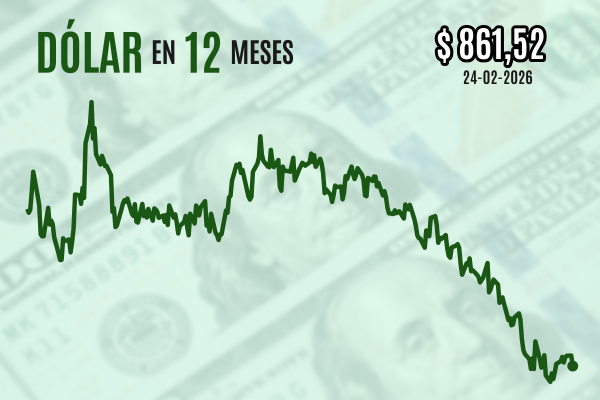 news-df-20260224081238