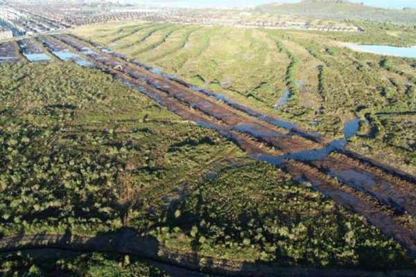 news-df-20260306180418