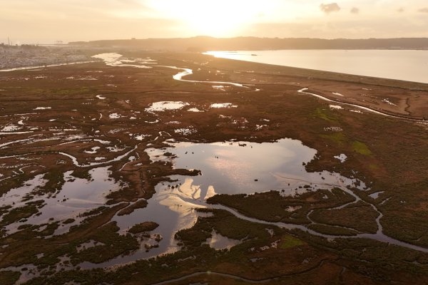 news-df-20260306192033