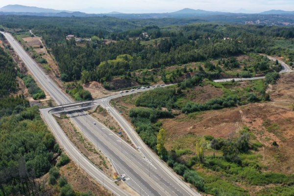 news-df-20260309105241