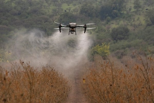 news-df-20260320182443