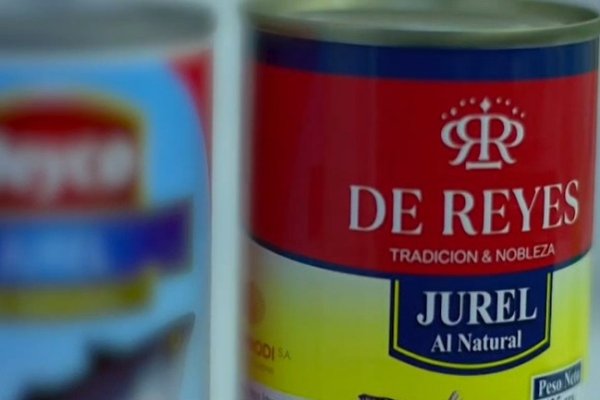 news-df-20260402113246