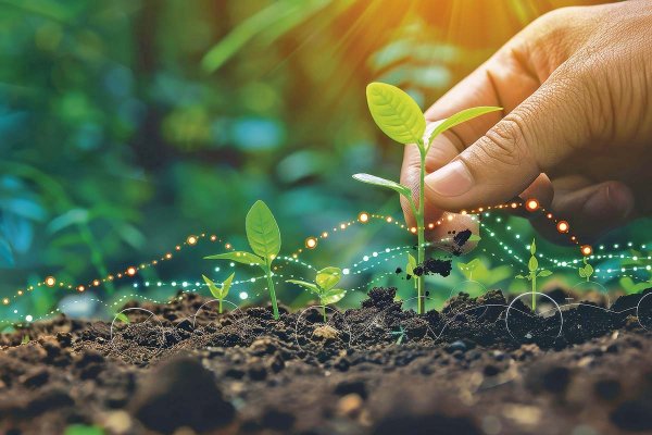 news-df-20260402182522