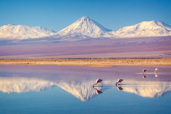 news-df-20260407112056