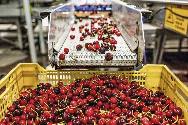 news-df-20260407200918