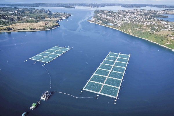 news-df-20260420201238