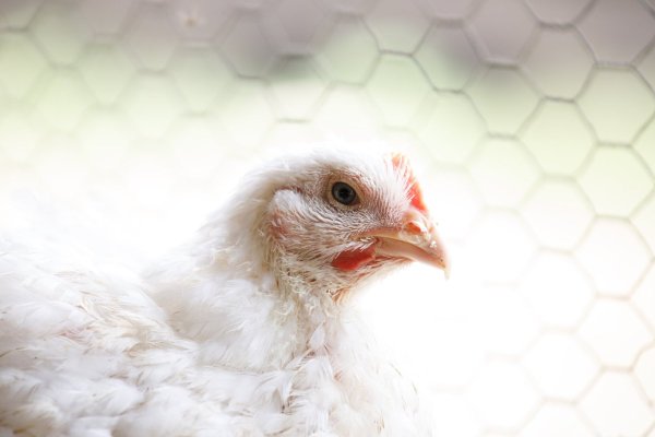 news-df-20260423064253