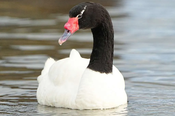 news-df-20260424174639